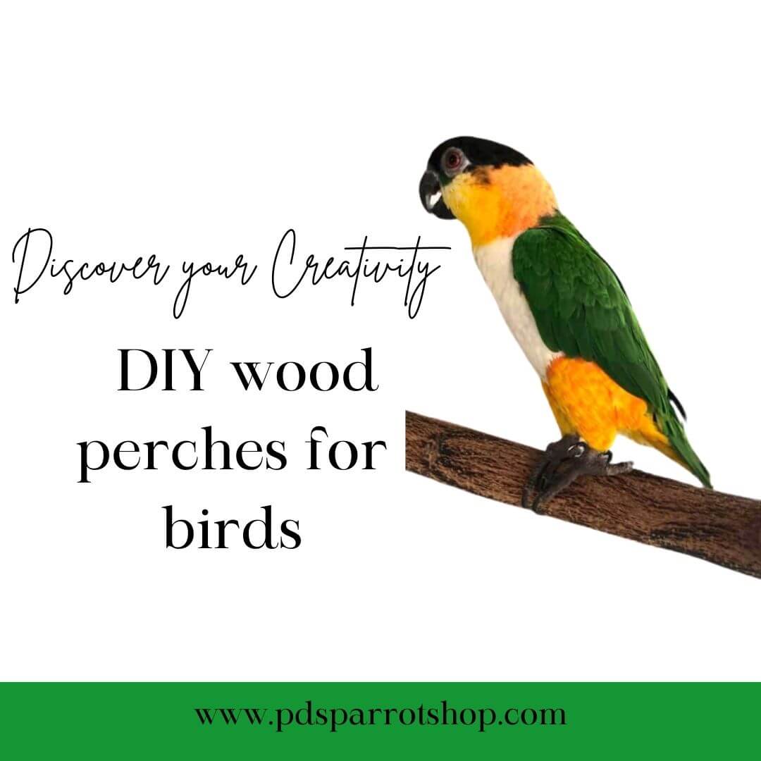 Complete guide to DIY wood perches for birds. – PDS Parrot Shop