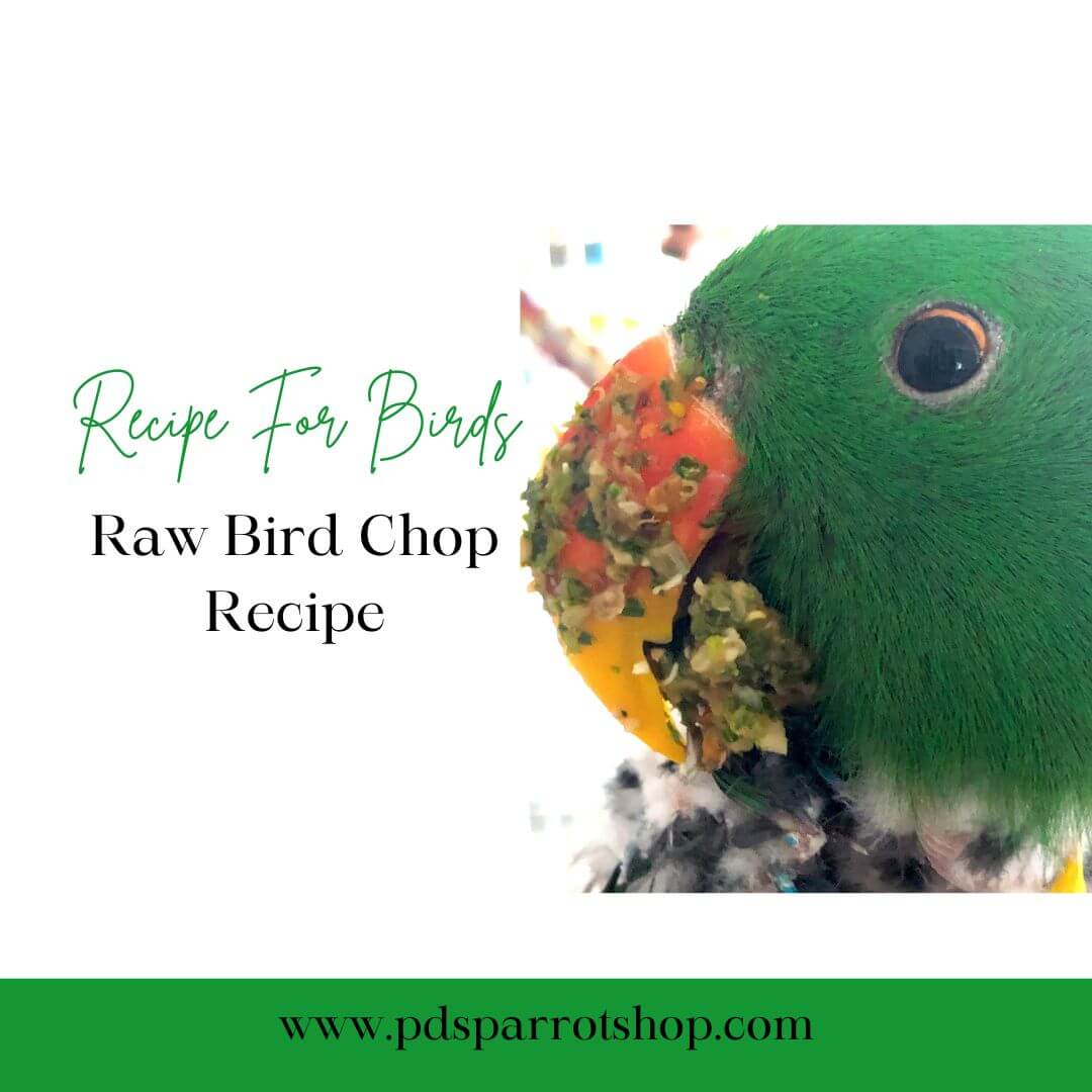 PDS Chop Mix: Healthy bird food – PDS Parrot Shop