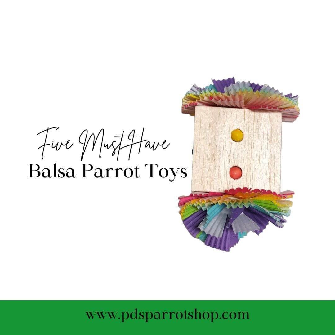 balsa dice bird toy with title