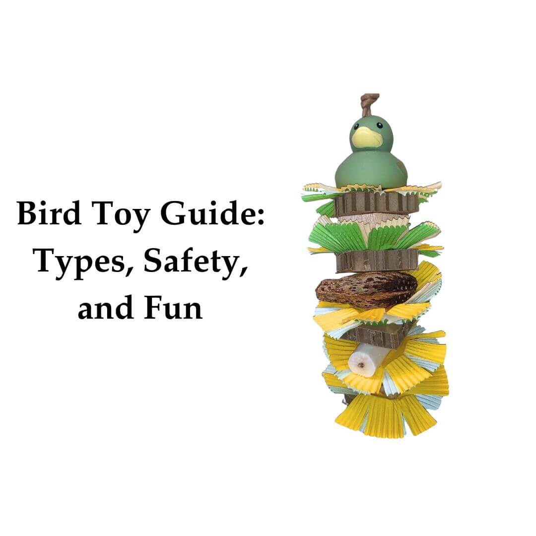 bird toy