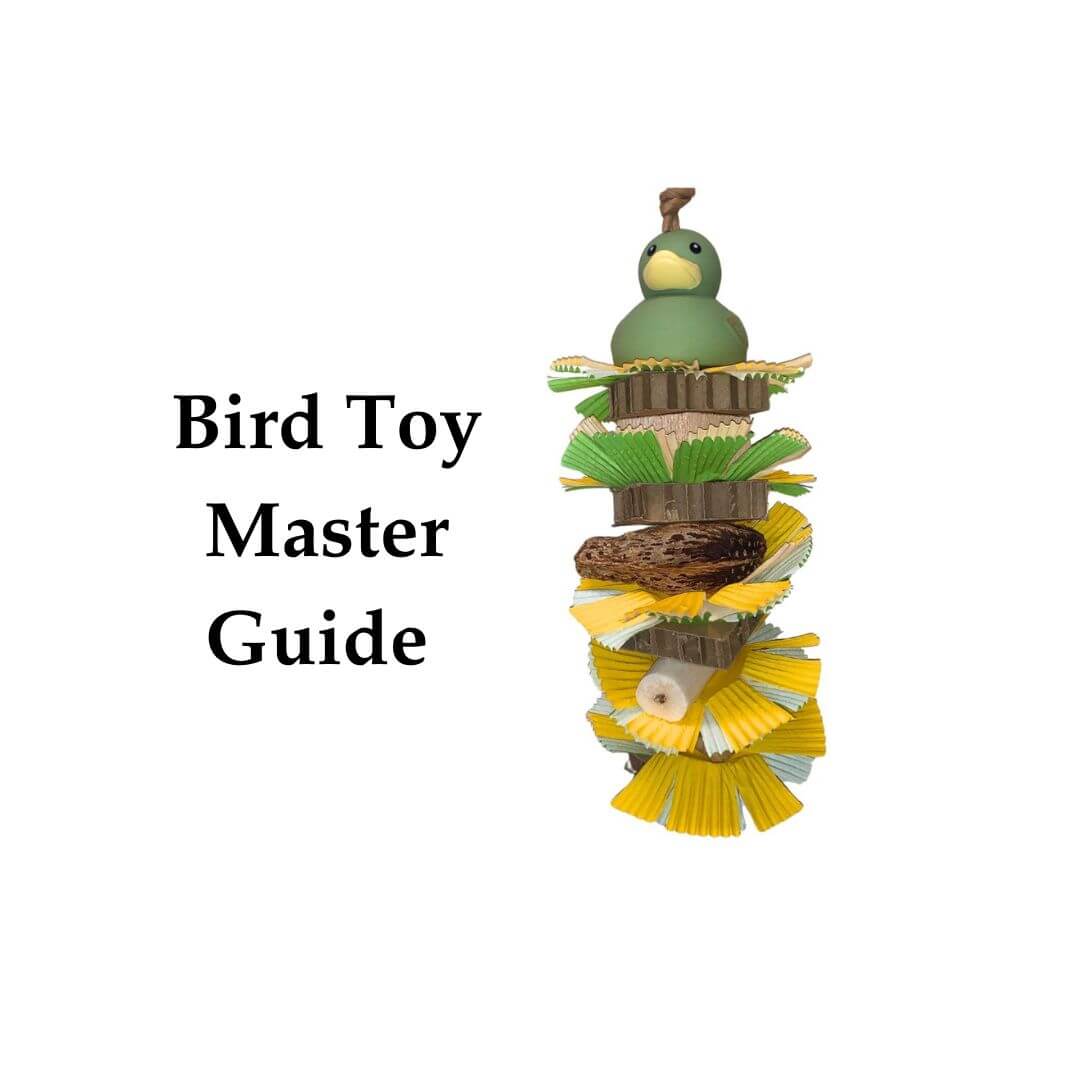 bird toy master guide