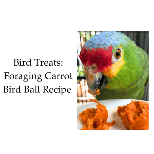 bird treats