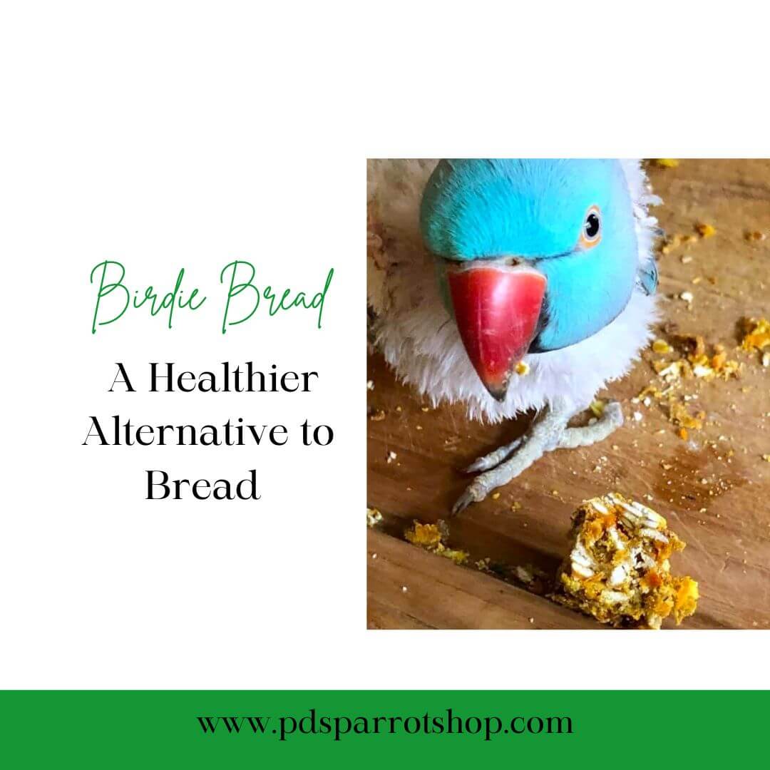 Birdie Bread A Healthier Alternative to Bread Birdie Bread Recipe PDS Parrot Shop