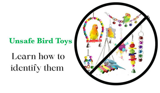unsafe bird toys