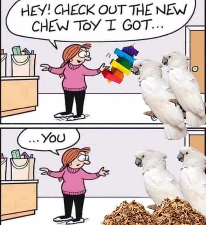 Rainbow Big Bite Parrot Toy