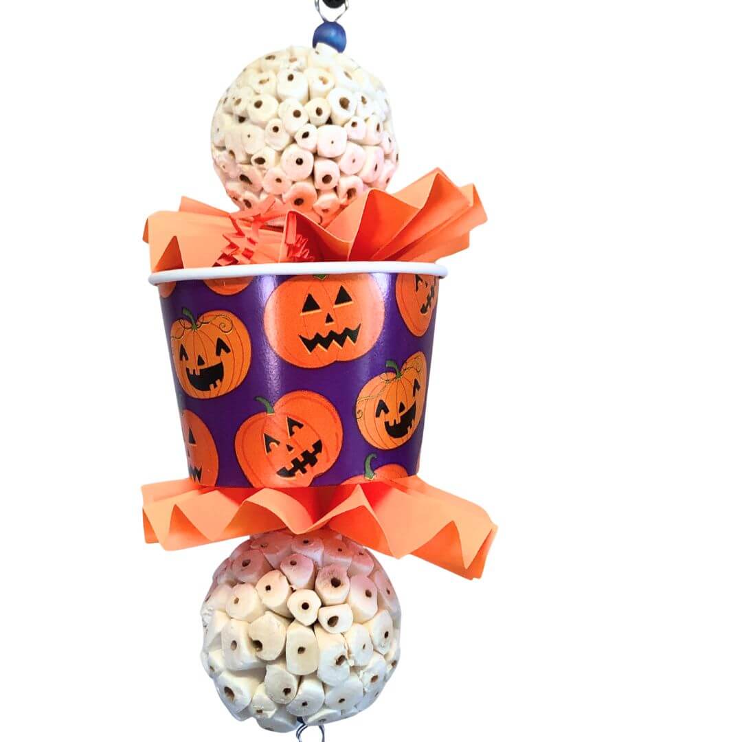 halloween theme bird toy