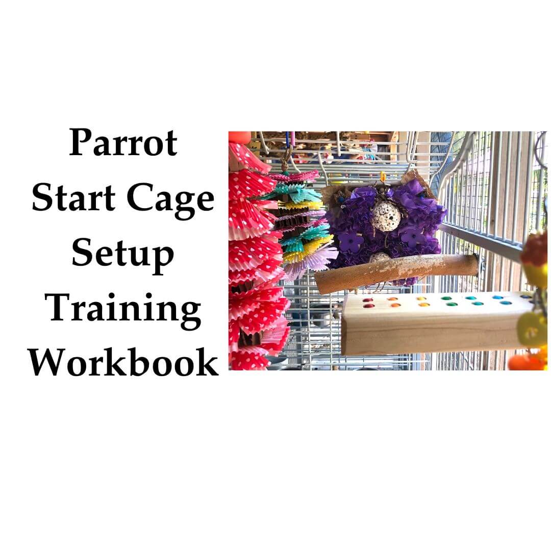 Cover of 'Parrot Start Cage Setup Training Workbook' with colorful parrot toys and a cage.