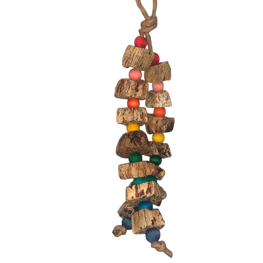 Mahogany pod slices with rainbow wood beads.