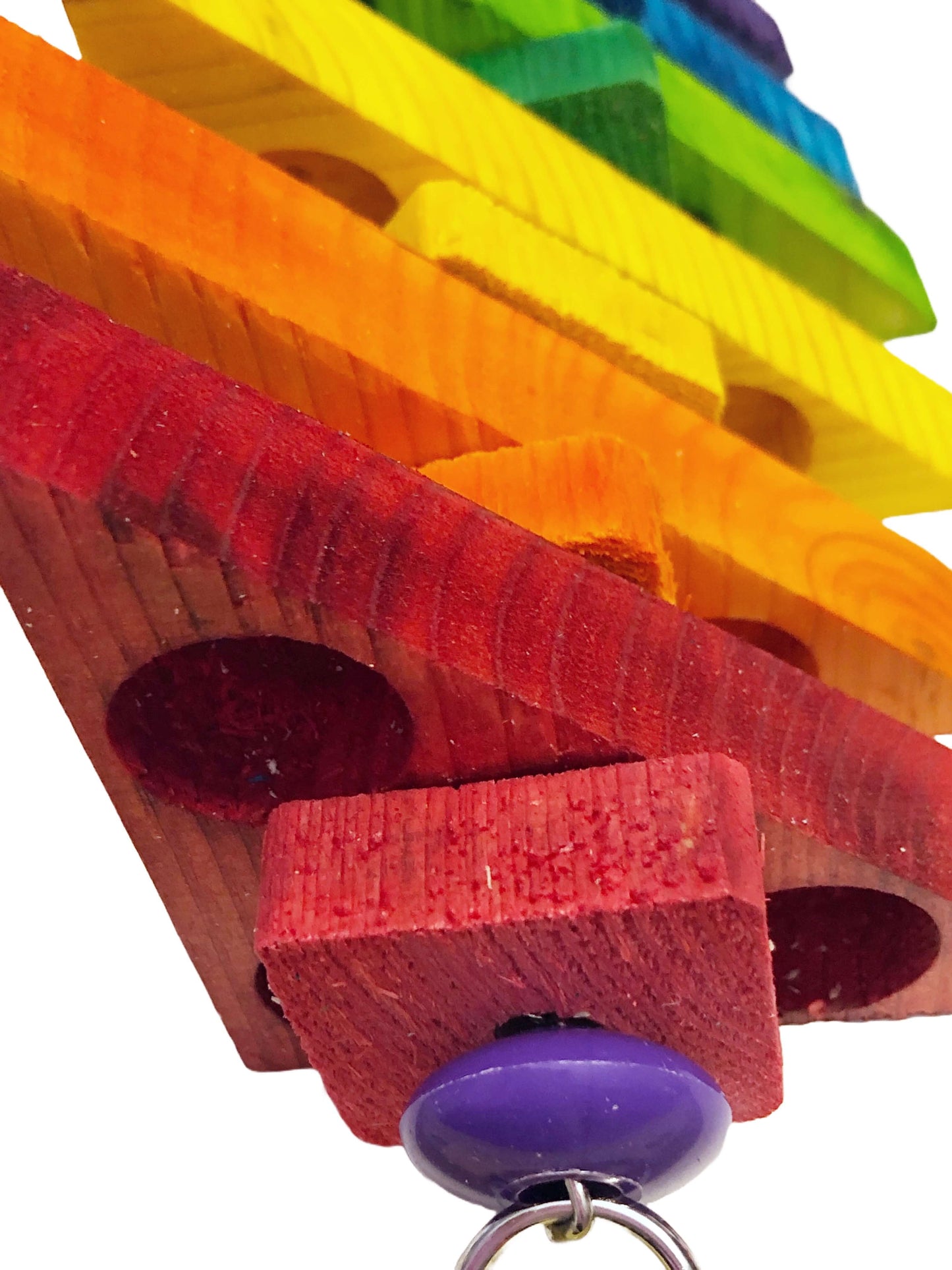 Rainbow Foraging bird toy