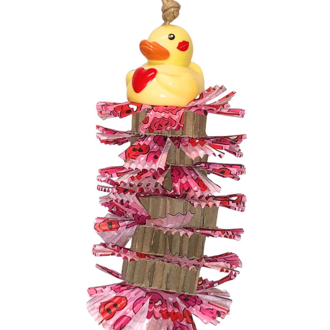 valentine shred bird toys