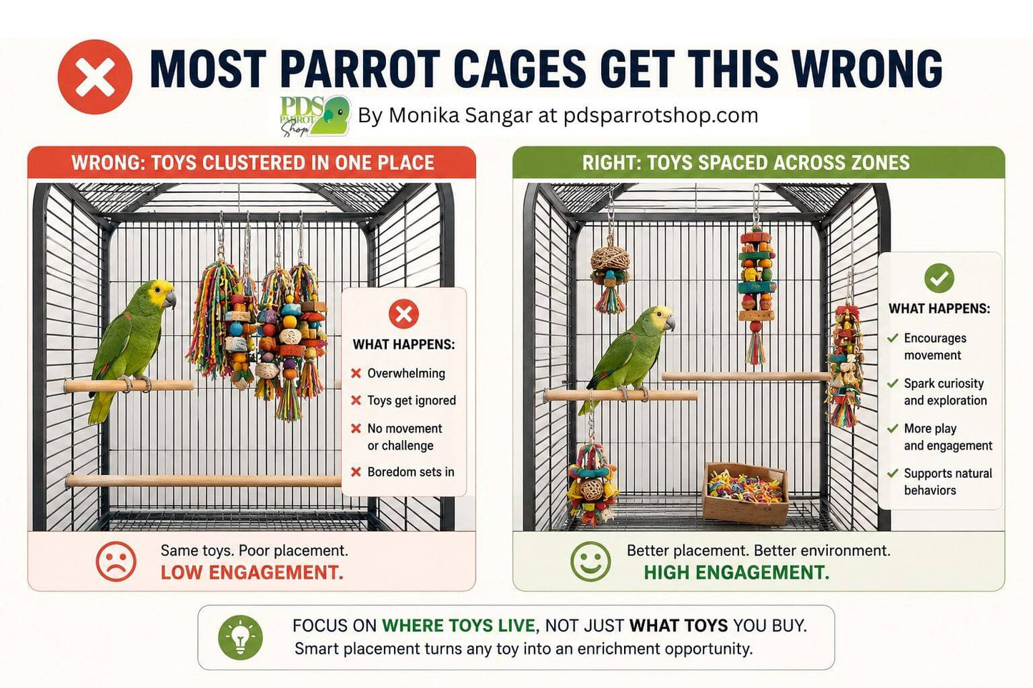 Parrot Toy Setup & Self-Entertainment Coaching