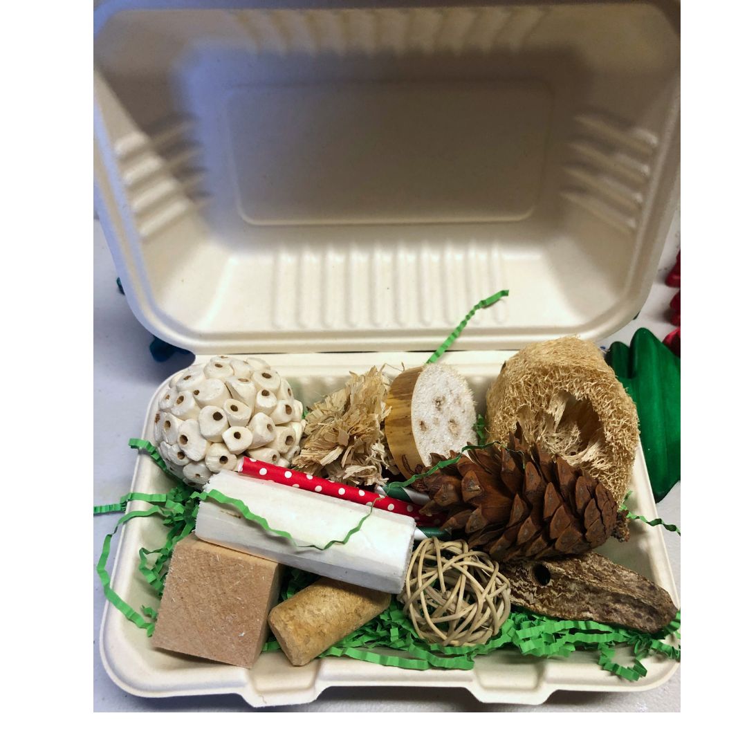 Assorted natural items including wood chips, a pine cone, and a small ball in a white foam container.