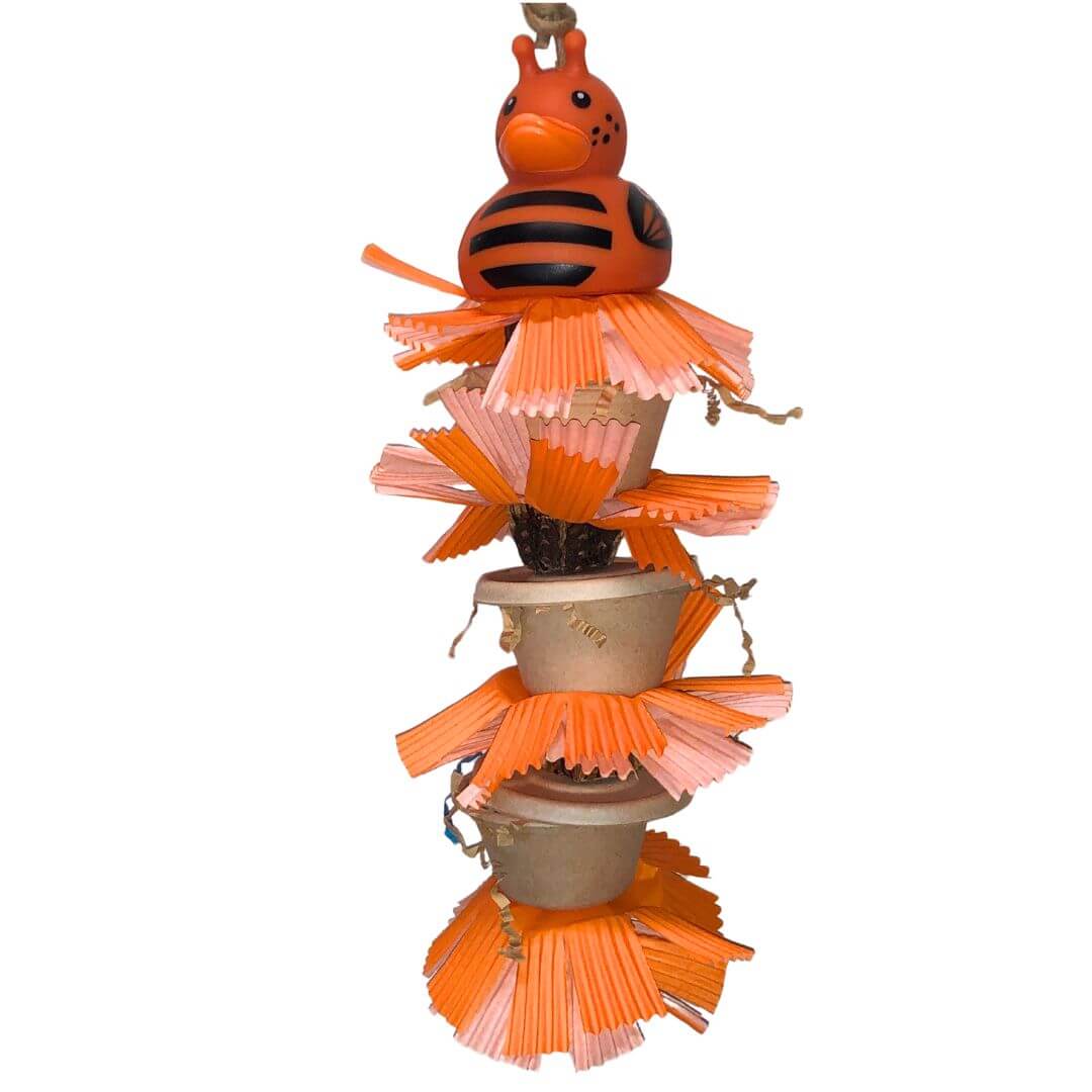 foraging bird toy for summer