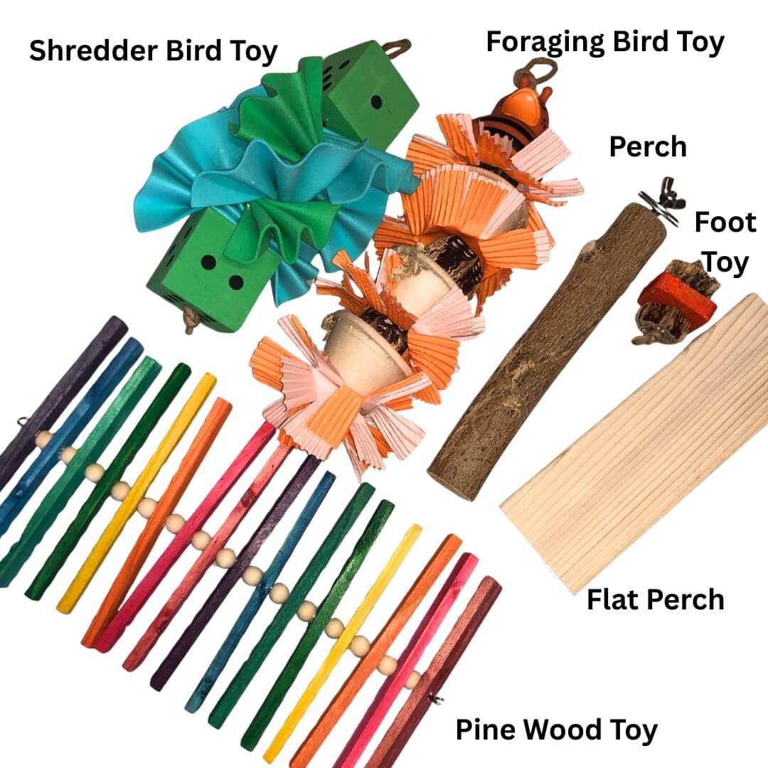 Collection of bird toys including a shredder, foraging, perch, foot toy, and pine wood toy on a white background.