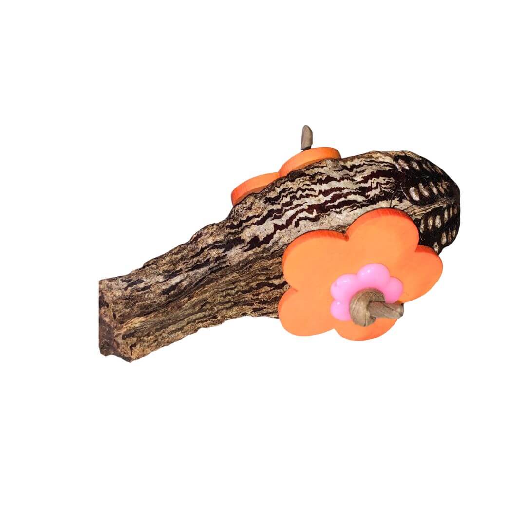 Mahogany pod foot bird toy