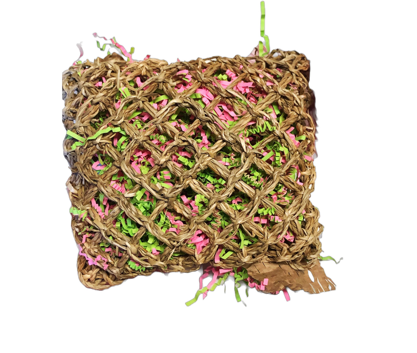 back side of seagrass mat foraging pouch