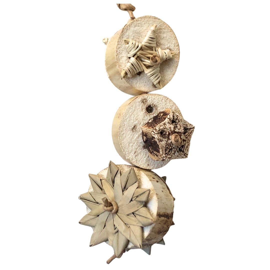 yucca coins with natural items