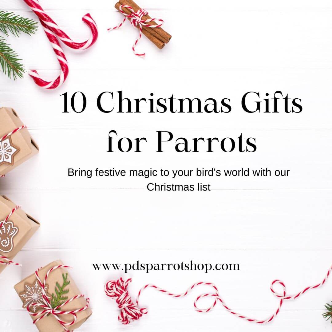 10 christmas gifts for parrots