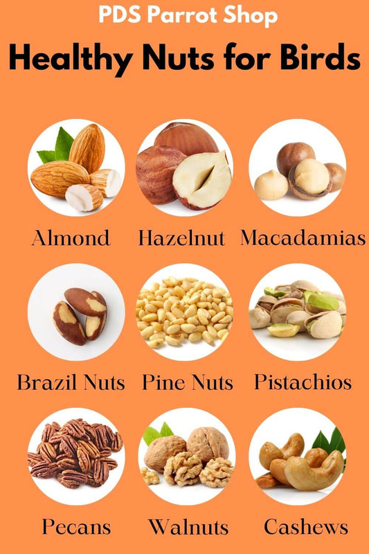 Health nuts for birds