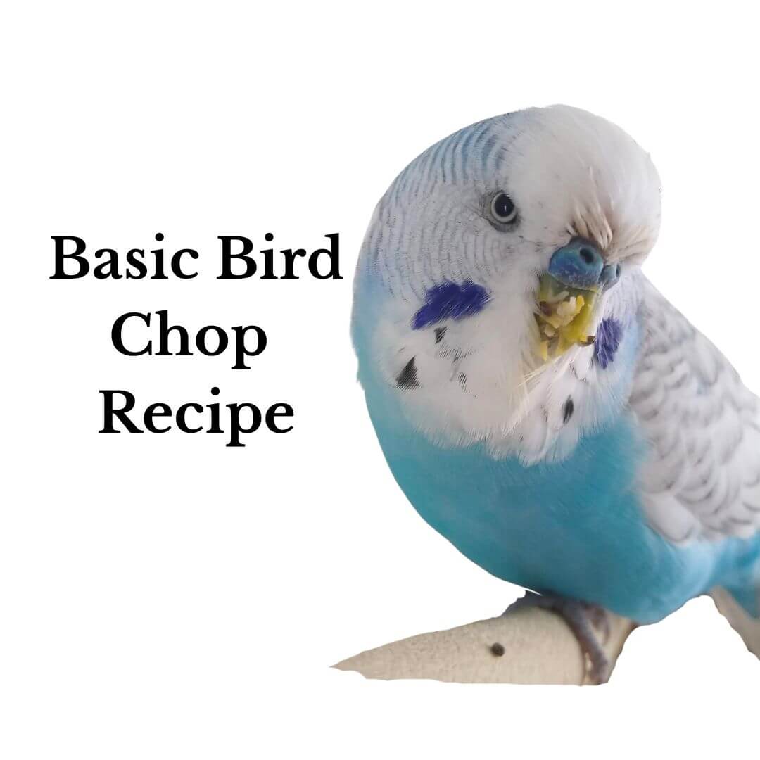 Basic Bird Chop Recipe