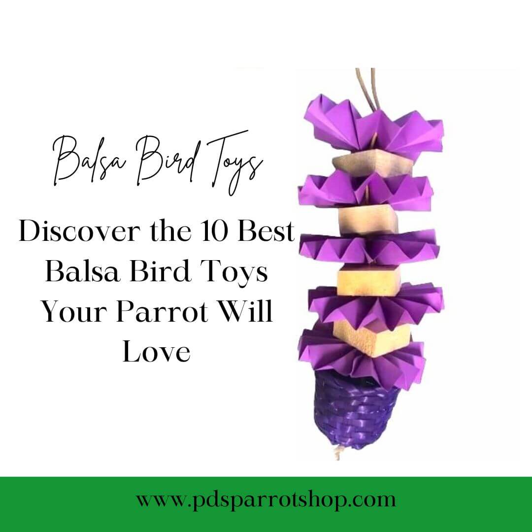 Balsa Toys: Discover the 10 Best Balsa Bird Toys Your Parrot Will Love