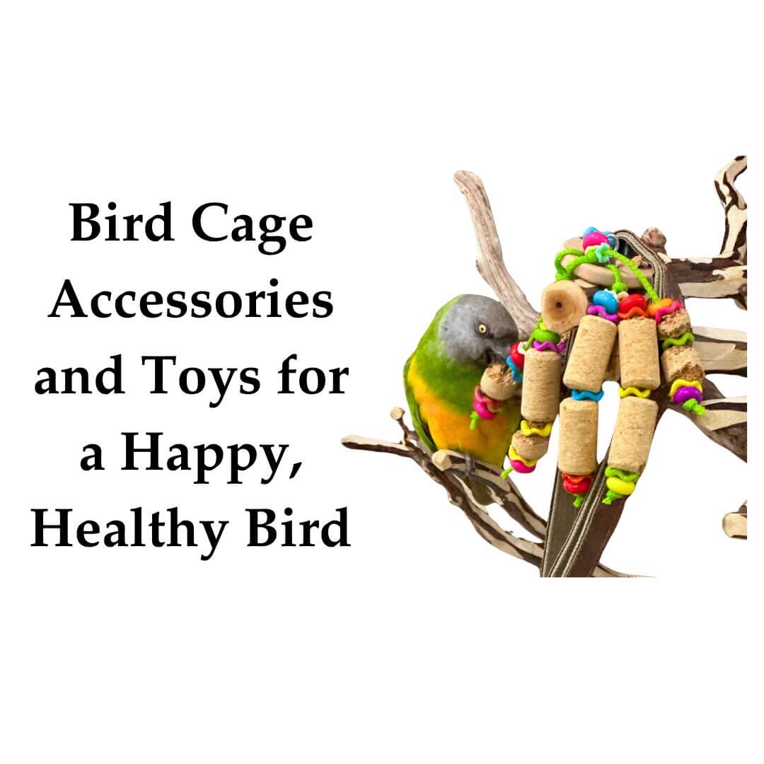 Bird Cage Accessories 
