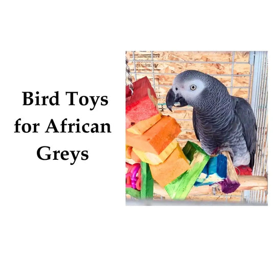 Bird Toys For African Greys