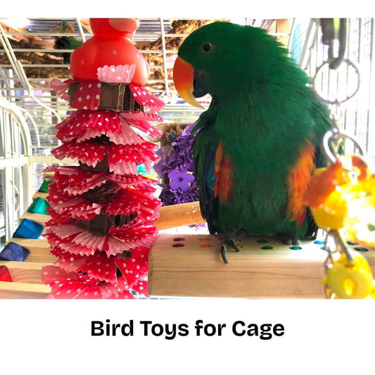 bird toys for cages