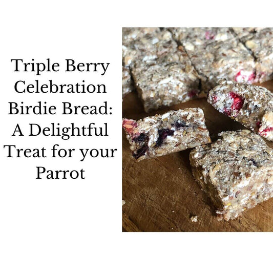 Triple Berry Celebration Birdie Bread: A Delightful Treat for your Parrot