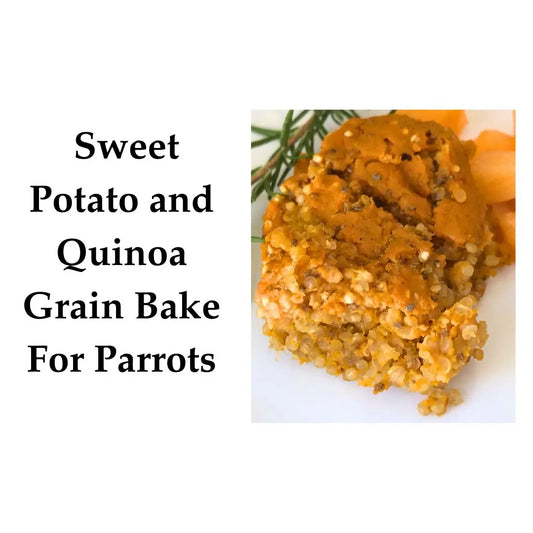 Sweet Potato and Quinoa Grain Bake