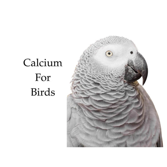 Calcium for birds