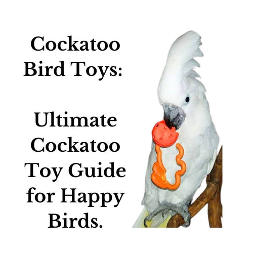 Cockatoo Bird Toys: Ultimate Cockatoo Toy Guide for Happy Birds.