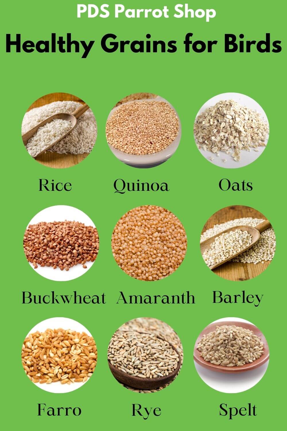 Health Grains for Birds