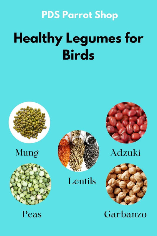 Legumes for birds