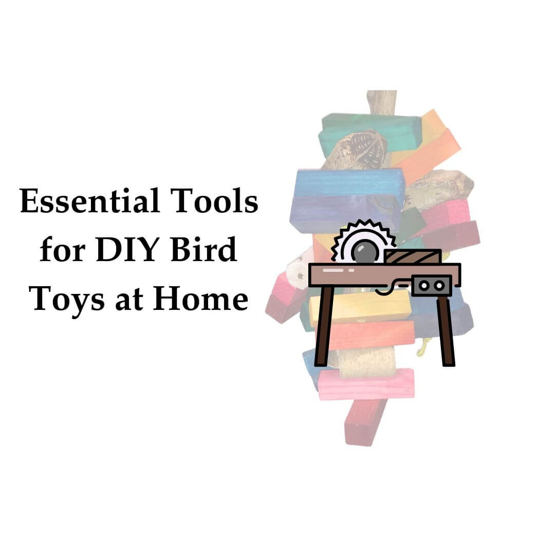 tools for DIY bird toys