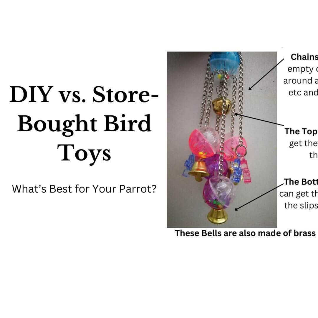 diy or store bird toys