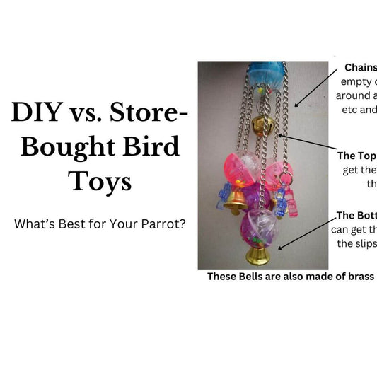 diy or store bird toys