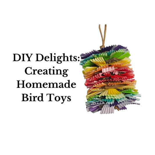 Text; DIY delights: creating homemade bird toys