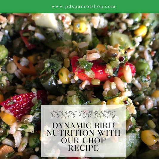 Dynamic Bird Nutrition with Our Chop Recipe