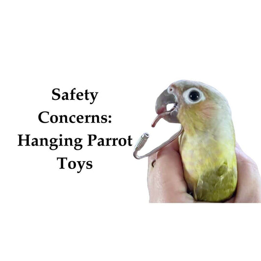 Safety Concerns: Hanging Parrot Toys