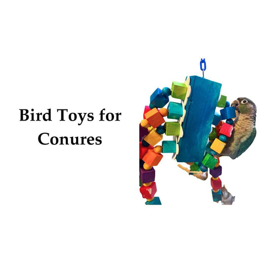 Bird Toys for Conures