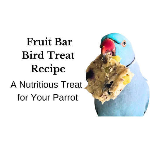 Fruit Bar Recipe for Birds: A Nutritious Treat for Your Parrot