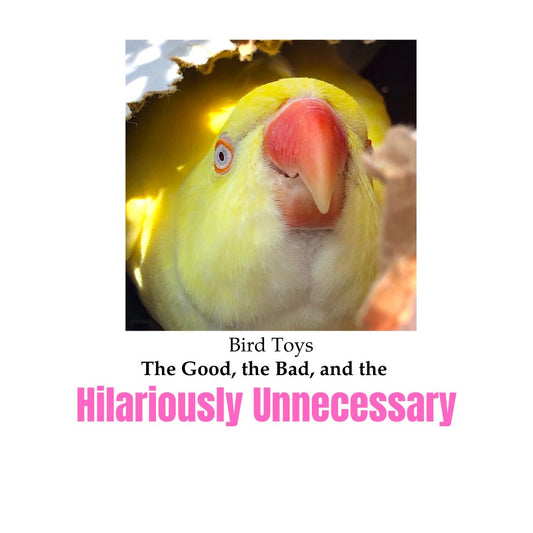 Bird Toys The good the bad and the hilariously unnecessary