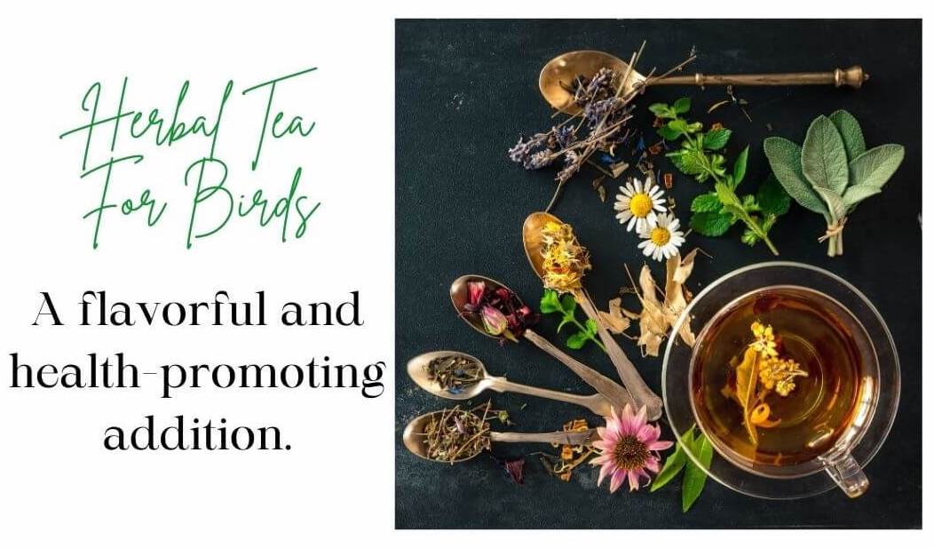 herbal tea for birds