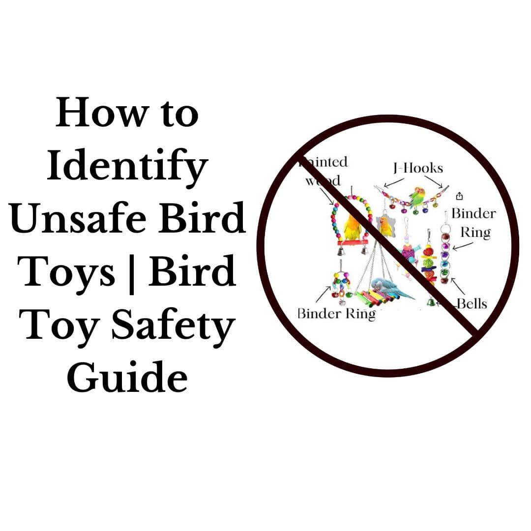 How to Identify Unsafe Bird Toys | Bird Toy Safety Guide