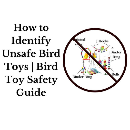 How to Identify Unsafe Bird Toys | Bird Toy Safety Guide