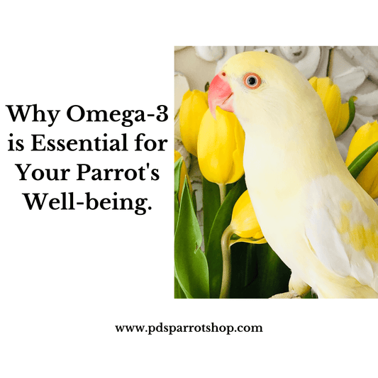 Why Omega-3 is Essential for Your Parrot's Well-being.