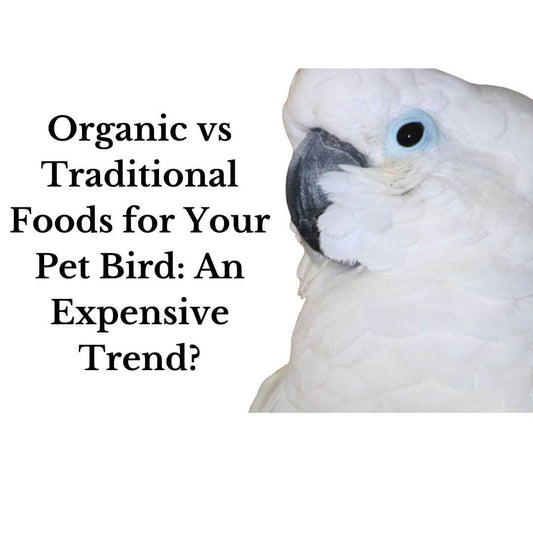 Organic vs Traditional Foods for Your Pet Bird: An Expensive Trend?