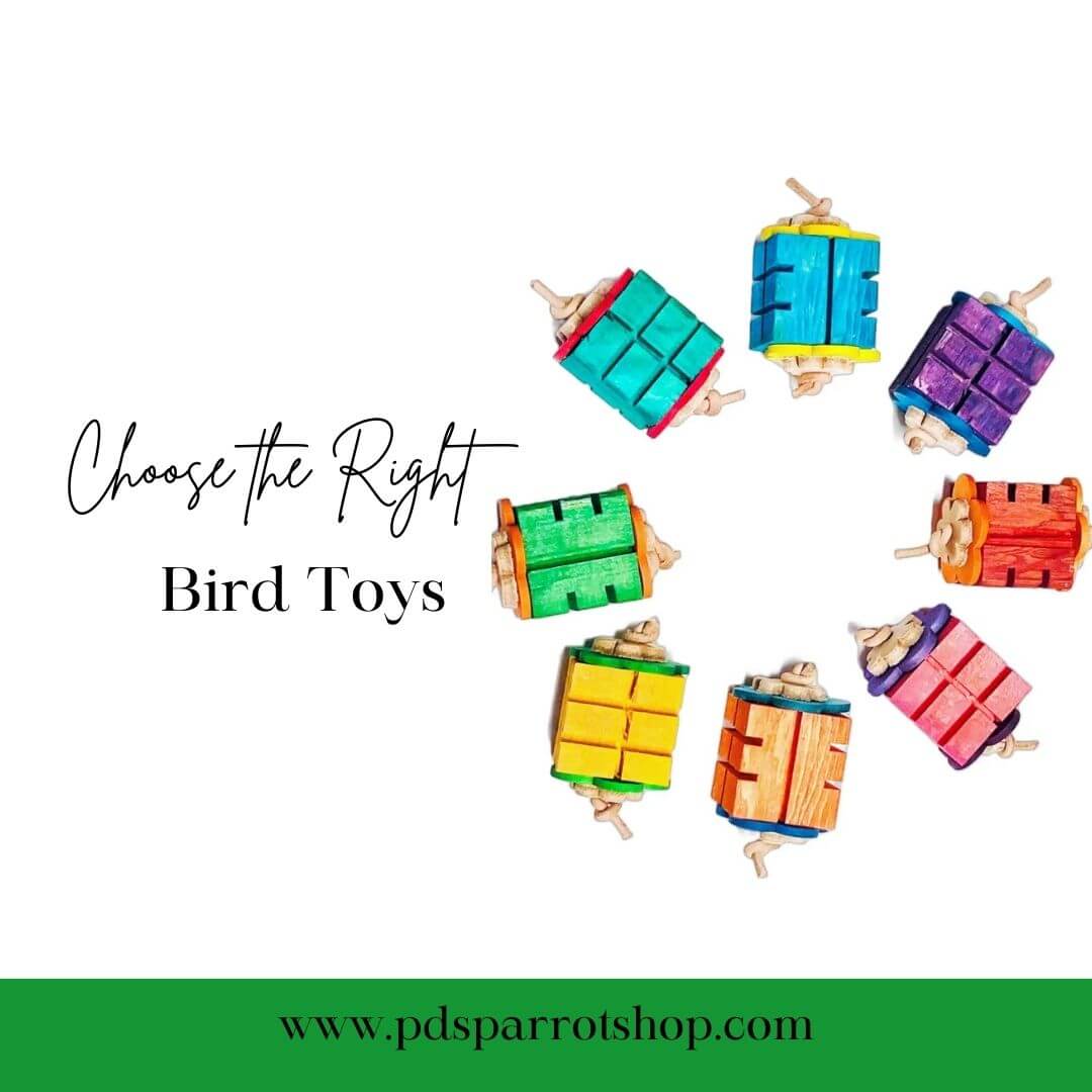 The Importance of Choosing the Right Toys for Your Birds