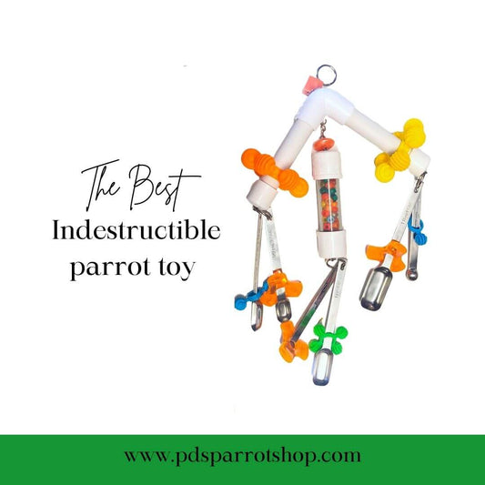 indestructible parrot toys